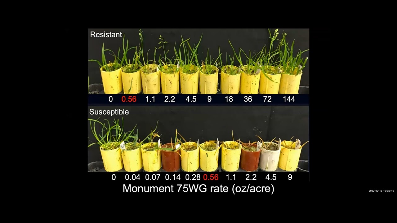 Industry Update: Turfgrass