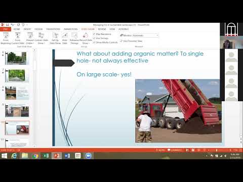 Getting to the Root of Urban Tree Health with Dr. Barbara Fair