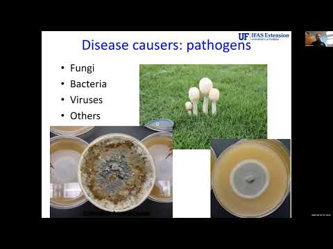 Diagnosis And Management Staying: Ahead Of The Turf Disease Curve with Dr. Phil Harmon